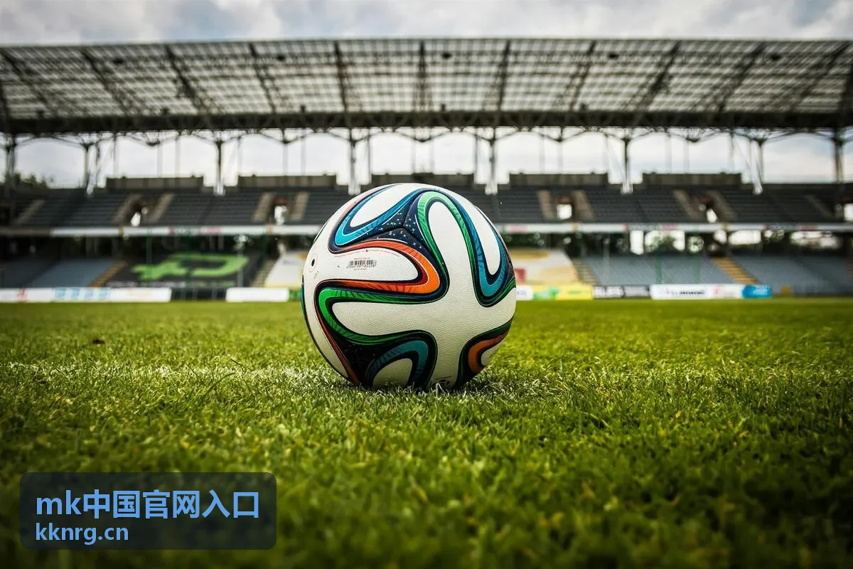 MK中国官网入口访问步骤说明配图