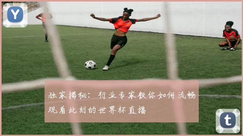 独家揭秘：行业专家教你如何流畅观看此刻的世界杯直播