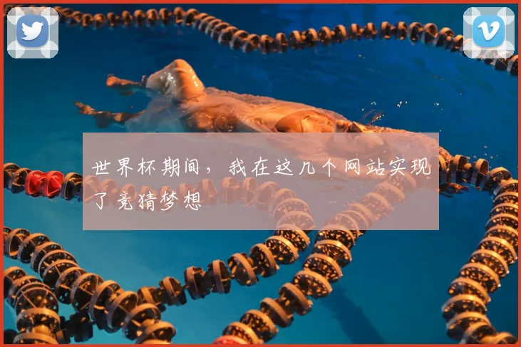 世界杯期间，我在这几个网站实现了竞猜梦想