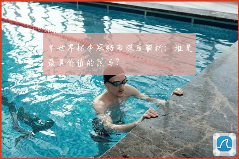 年世界杯夺冠赔率深度解析：谁是最具价值的黑马？