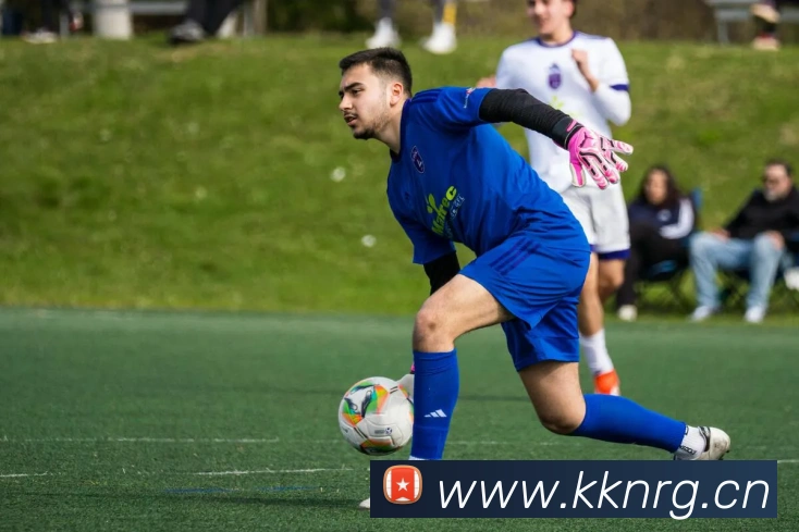 App Interface Preview